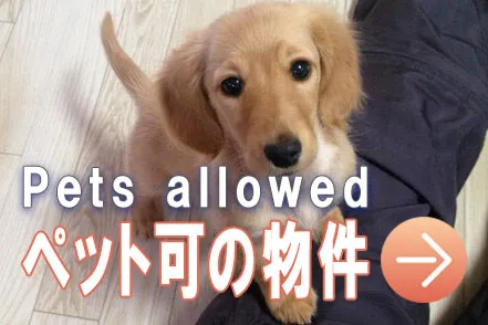 ペット可の物件